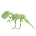 VT048Glow-in-the-Dark Tyrannosaurus Rex Skeleton (25cm x 10cm)